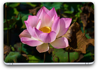 Flipkart SmartBuy Beauty Of Flowers 21 Vinyl Laptop Skin (3M/Avery Vinyl, Matte Laminated, 13 x 8.5 inches) Vinyl Laptop Decal 13.3
Flipkart SmartBuy Beauty Of Flowers 21 Vinyl Laptop Skin (3M/Avery Vinyl, Matte Laminated, 13 x 8.5 inches) Vinyl Laptop Decal 13.3