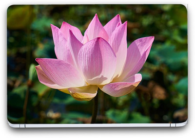 Flipkart SmartBuy Beauty Of Flowers 22 Vinyl Laptop Skin (3M/Avery Vinyl, Matte Laminated, 13 x 8.5 inches) Vinyl Laptop Decal 13.3
Flipkart SmartBuy Beauty Of Flowers 22 Vinyl Laptop Skin (3M/Avery Vinyl, Matte Laminated, 13 x 8.5 inches) Vinyl Laptop Decal 13.3