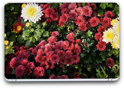Flipkart SmartBuy Floral Garden 20 Vinyl Laptop Skin (3M/Avery Vinyl, Matte Laminated, 14 x 9 inches) Vinyl Laptop Decal 14.1
Flipkart SmartBuy Floral Garden 20 Vinyl Laptop Skin (3M/Avery Vinyl, Matte Laminated, 14 x 9 inches) Vinyl Laptop Decal 14.1