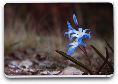 Flipkart SmartBuy Beautiful Blue Flower Vinyl Laptop Skin (3M/Avery Vinyl, Matte Laminated, 13 x 8.5 inches) Vinyl Laptop Decal 13.3
Flipkart SmartBuy Beautiful Blue Flower Vinyl Laptop Skin (3M/Avery Vinyl, Matte Laminated, 13 x 8.5 inches) Vinyl Laptop Decal 13.3