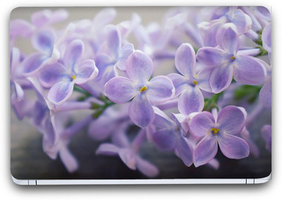 Flipkart SmartBuy Enchanting White Flower 12 Vinyl Laptop Skin (3M/Avery Vinyl, Matte Laminated, 15 x 10 inches) Vinyl Laptop Decal 15.6
Flipkart SmartBuy Enchanting White Flower 12 Vinyl Laptop Skin (3M/Avery Vinyl, Matte Laminated, 15 x 10 inches) Vinyl Laptop Decal 15.6
