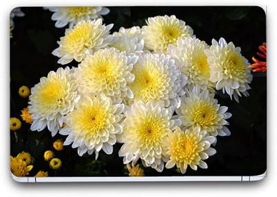 Flipkart SmartBuy Enchanting White Flower 6 Vinyl Laptop Skin (3M/Avery Vinyl, Matte Laminated, 15 x 10 inches) Vinyl Laptop Decal 15.6
Flipkart SmartBuy Enchanting White Flower 6 Vinyl Laptop Skin (3M/Avery Vinyl, Matte Laminated, 15 x 10 inches) Vinyl Laptop Decal 15.6