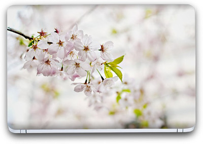 Flipkart SmartBuy Enchanting White Flower 5 Vinyl Laptop Skin (Avery Vinyl, Matte Laminated, 15 x 10 inches) Vinyl Laptop Decal 15.6
Flipkart SmartBuy Enchanting White Flower 5 Vinyl Laptop Skin (Avery Vinyl, Matte Laminated, 15 x 10 inches) Vinyl Laptop Decal 15.6