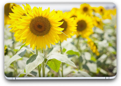 Flipkart SmartBuy Beautiful Yellow Flower 4 Vinyl Laptop Skin (3M/Avery Vinyl, Matte Laminated, 13 x 8.5 inches) Vinyl Laptop Decal 13.3
Flipkart SmartBuy Beautiful Yellow Flower 4 Vinyl Laptop Skin (3M/Avery Vinyl, Matte Laminated, 13 x 8.5 inches) Vinyl Laptop Decal 13.3