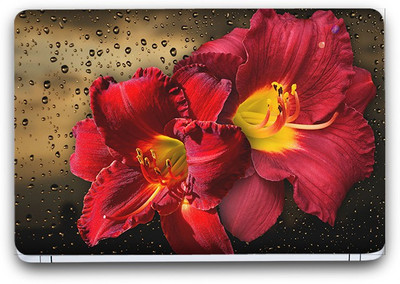 Flipkart SmartBuy Beauty Of Flowers 13 Vinyl Laptop Skin (3M/Avery Vinyl, Matte Laminated, 15 x 10 inches) Vinyl Laptop Decal 15.6
Flipkart SmartBuy Beauty Of Flowers 13 Vinyl Laptop Skin (3M/Avery Vinyl, Matte Laminated, 15 x 10 inches) Vinyl Laptop Decal 15.6