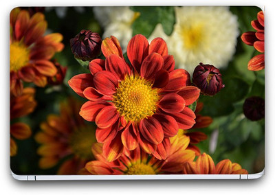 Flipkart SmartBuy Floral Garden 13 Vinyl Laptop Skin (3M/Avery Vinyl, Matte Laminated, 14 x 9 inches) Vinyl Laptop Decal 14.1
Flipkart SmartBuy Floral Garden 13 Vinyl Laptop Skin (3M/Avery Vinyl, Matte Laminated, 14 x 9 inches) Vinyl Laptop Decal 14.1