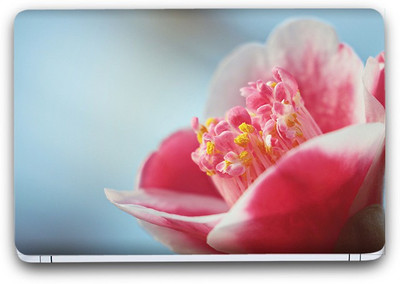 Flipkart SmartBuy Pink Flower Vinyl Laptop Skin (Avery Vinyl, Matte Laminated, 15 x 10 inches) Vinyl Laptop Decal 15.6
Flipkart SmartBuy Pink Flower Vinyl Laptop Skin (Avery Vinyl, Matte Laminated, 15 x 10 inches) Vinyl Laptop Decal 15.6