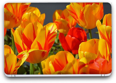 Flipkart SmartBuy Enchanting Flowers 7 Vinyl Laptop Skin (3M/Avery Vinyl, Matte Laminated, 14 x 9 inches) Vinyl Laptop Decal 14.1
Flipkart SmartBuy Enchanting Flowers 7 Vinyl Laptop Skin (3M/Avery Vinyl, Matte Laminated, 14 x 9 inches) Vinyl Laptop Decal 14.1