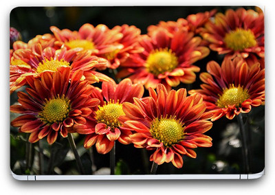 Flipkart SmartBuy Floral Garden 5 Vinyl Laptop Skin (3M/Avery Vinyl, Matte Laminated, 15 x 10 inches) Vinyl Laptop Decal 15.6
Flipkart SmartBuy Floral Garden 5 Vinyl Laptop Skin (3M/Avery Vinyl, Matte Laminated, 15 x 10 inches) Vinyl Laptop Decal 15.6