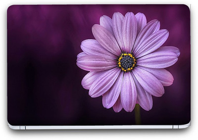 Flipkart SmartBuy Purple Serenity Vinyl Laptop Skin (3M/Avery Vinyl, Matte Laminated, 13 x 8.5 inches) Vinyl Laptop Decal 13.3
Flipkart SmartBuy Purple Serenity Vinyl Laptop Skin (3M/Avery Vinyl, Matte Laminated, 13 x 8.5 inches) Vinyl Laptop Decal 13.3