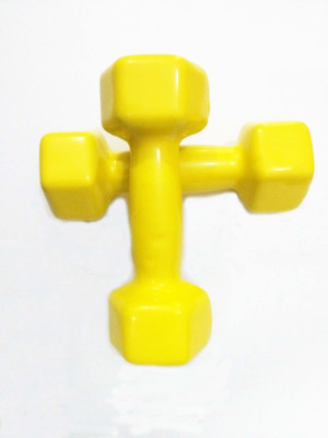 Cougar 'VINYL DUMBBELL' (1.5 kg) (Color On Availability) Fixed Weight Dumbbell(.40 kg), Yellow
Cougar 'VINYL DUMBBELL' (1.5 kg) (Color On Availability) Fixed Weight Dumbbell(.40 kg), Yellow