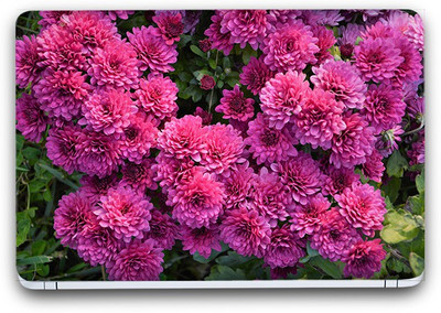 Flipkart SmartBuy Floral Garden 17 Vinyl Laptop Skin (3M/Avery Vinyl, Matte Laminated, 15 x 10 inches) Vinyl Laptop Decal 15.6
Flipkart SmartBuy Floral Garden 17 Vinyl Laptop Skin (3M/Avery Vinyl, Matte Laminated, 15 x 10 inches) Vinyl Laptop Decal 15.6