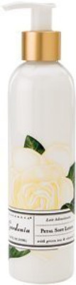 Jubujub Gardenia Petal Soft Body Lotion(258.77 ml)