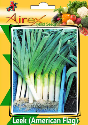 Airex Leek (American Flag) Hybrid Seed (7 Packet Of Leek (American Flag) Seed (Pack of AVG 30-40 Seed * 7 Per Packet) Seed(270 per packet)
Airex Leek (American Flag) Hybrid Seed (7 Packet Of Leek (American Flag) Seed (Pack of AVG 30-40 Seed * 7 Per Packet) Seed(270 per packet)