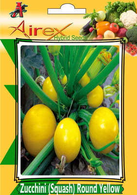 Airex Zucchini (Squash) Round Yellow (Hybrid) Seed (2 Packet Of Zucchini (Squash) Round Yellow) Seed (Pack of AVG 20-30 Seed * 2 Per Packet) Seed(60 per packet)
Airex Zucchini (Squash) Round Yellow (Hybrid) Seed (2 Packet Of Zucchini (Squash) Round Yellow) Seed (Pack of AVG 20-30 Seed * 2 Per Packet) Seed(60 per packet)