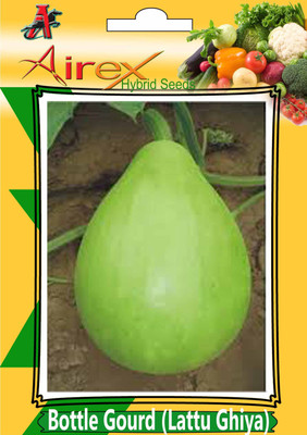 Airex Bottle Gourd (Hybrid) Lattu Ghiya) Vegetables Seed (Pack Of 15 Seed Per Packet) Seed(15 per packet)
Airex Bottle Gourd (Hybrid) Lattu Ghiya) Vegetables Seed (Pack Of 15 Seed Per Packet) Seed(15 per packet)