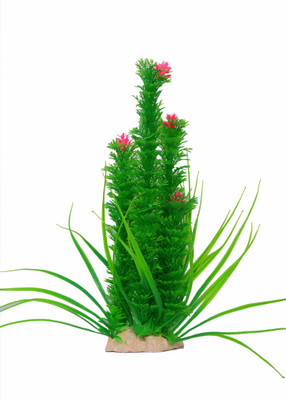 Liger India Aquarium/ Fish Tank Decorative Artificial Plant Laterite Planted Substrate(Green)
Liger India Aquarium/ Fish Tank Decorative Artificial Plant Laterite Planted Substrate(Green)