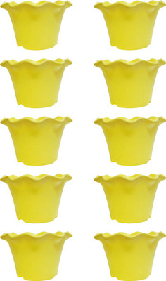 Bluerider Plant Container Set(Plastic)