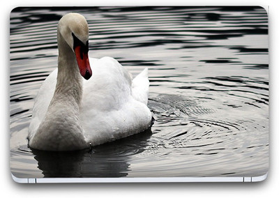 Flipkart SmartBuy Water Life Vinyl Laptop Skin (3M/Avery Vinyl, Matte Laminated, 14 x 9 inches) Vinyl Laptop Decal 14.1
Flipkart SmartBuy Water Life Vinyl Laptop Skin (3M/Avery Vinyl, Matte Laminated, 14 x 9 inches) Vinyl Laptop Decal 14.1