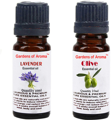 Gardens Of Aroma Lavender And Olive(20 ml)