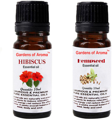 Gardens Of Aroma Hibiscus And Hepmseed(20 ml)
Gardens Of Aroma Hibiscus And Hepmseed(20 ml)