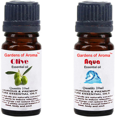 Gardens Of Aroma Olive And Aqua(20 ml)