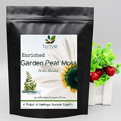Turtye Turtye® Enriched Garden Peat Moss - 10 Kg's - Perlite Blended - For Home / Kitchen Gardening Plants Soil Manure(10 kg Powder)
Turtye Turtye® Enriched Garden Peat Moss - 10 Kg's - Perlite Blended - For Home / Kitchen Gardening Plants Soil Manure(10 kg Powder)