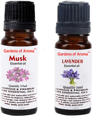 Gardens Of Aroma Musk And Lavender(20 ml)
