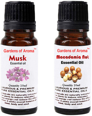 Gardens Of Aroma Musk And Macadamiea nut(20 ml)