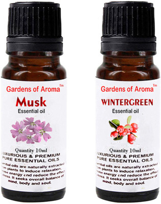 Gardens Of Aroma Musk And Wintergreen(20 ml)