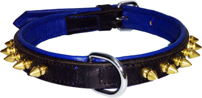Petshop7 Export Quality Genuine Leather Dog Collar with Spiked 0.75 "in" - Dog Everyday Collar(, Blue
Petshop7 Export Quality Genuine Leather Dog Collar with Spiked 0.75 "in" - Dog Everyday Collar(, Blue