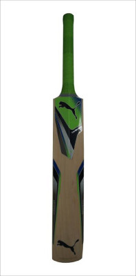 Puma EVO SPEED CHROMIUM FORCE GT 14 ENGLISH WILLOW English Willow Cricket Bat(, 1100-1200