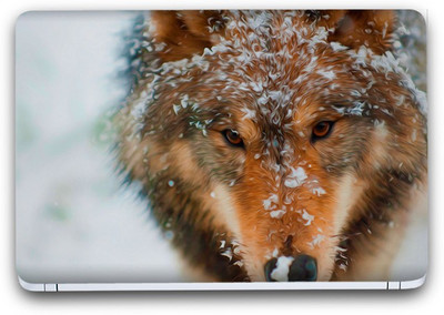 Flipkart SmartBuy Wolf In Snow Vinyl Laptop Skin (3M/Avery Vinyl, Matte Laminated, 13 x 8.5 inches) Vinyl Laptop Decal 13.3
Flipkart SmartBuy Wolf In Snow Vinyl Laptop Skin (3M/Avery Vinyl, Matte Laminated, 13 x 8.5 inches) Vinyl Laptop Decal 13.3