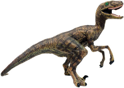 Tootpado Velociraptor Dinosaur Toy 6.5 Inch - (1TNG75) - Big Realistically Detailed Animal Figure(Brown)
Tootpado Velociraptor Dinosaur Toy 6.5 Inch - (1TNG75) - Big Realistically Detailed Animal Figure(Brown)