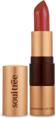 SoulTree Ayurvedic Lipstick - 777 Rich Earth Colour(Rich Earth, 4.5 g)