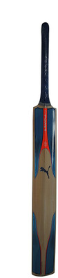 Puma Evo Power 2 KASHMIR WILLOW-SIZE- Kashmir Willow Cricket Bat(600