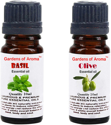 Gardens Of Aroma Basil And Olive(20 ml)