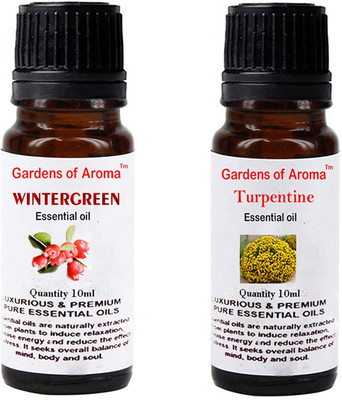 Gardens Of Aroma Wintergreen And Turpentine(20 ml)
Gardens Of Aroma Wintergreen And Turpentine(20 ml)