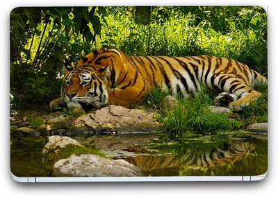 Flipkart SmartBuy Tiger In Forest Vinyl Laptop Skin (3M/Avery Vinyl, Matte Laminated, 14 x 9 inches) Vinyl Laptop Decal 14.1
Flipkart SmartBuy Tiger In Forest Vinyl Laptop Skin (3M/Avery Vinyl, Matte Laminated, 14 x 9 inches) Vinyl Laptop Decal 14.1