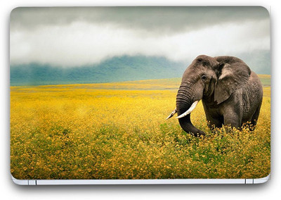 Flipkart SmartBuy Elephant In Fields Vinyl Laptop Skin (3M/Avery Vinyl, Matte Laminated, 15 x 10 inches) Vinyl Laptop Decal 15.6
Flipkart SmartBuy Elephant In Fields Vinyl Laptop Skin (3M/Avery Vinyl, Matte Laminated, 15 x 10 inches) Vinyl Laptop Decal 15.6