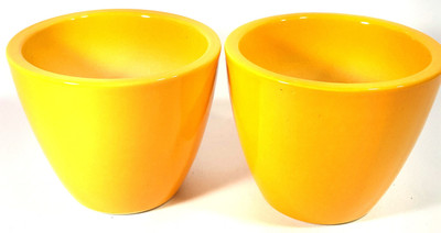 CROCKTO Ceramic Yellow Handmade Bonsai Succulent Planter Pots/Indoor Planter Fancy Decorative Plant Container Set(Pack of 2, Ceramic)
CROCKTO Ceramic Yellow Handmade Bonsai Succulent Planter Pots/Indoor Planter Fancy Decorative Plant Container Set(Pack of 2, Ceramic)