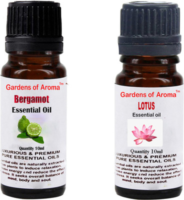 Gardens Of Aroma Bergamot And Lotus(20 ml)
Gardens Of Aroma Bergamot And Lotus(20 ml)