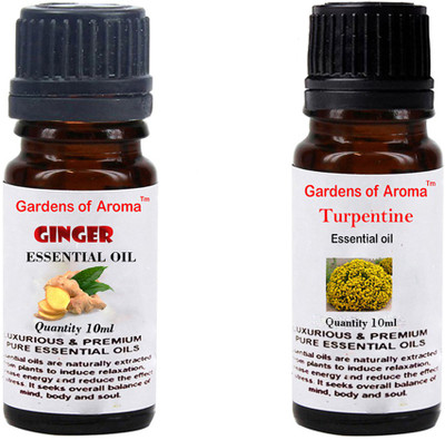 Gardens Of Aroma Ginger And Turpentine(20 ml)