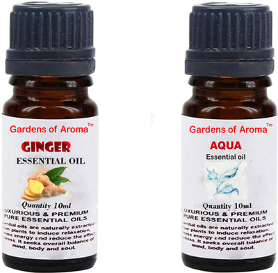 Gardens Of Aroma Ginger And Aqua(20 ml)