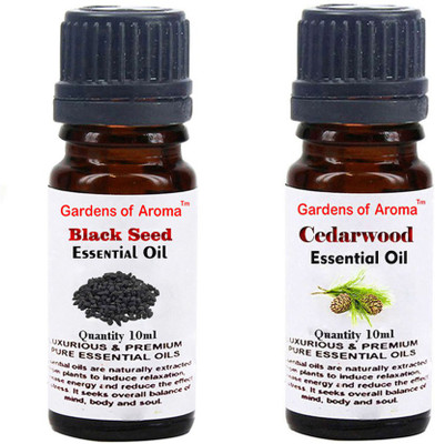Gardens Of Aroma Black Seed And Cedarwood(20 ml)
Gardens Of Aroma Black Seed And Cedarwood(20 ml)