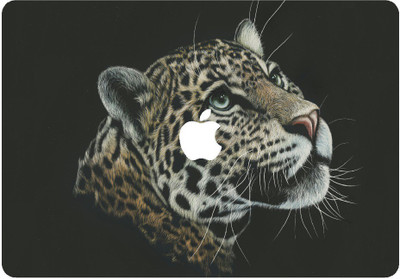 joinkart MACbkpro176lap406 Vinyl Laptop Decal 17.6
