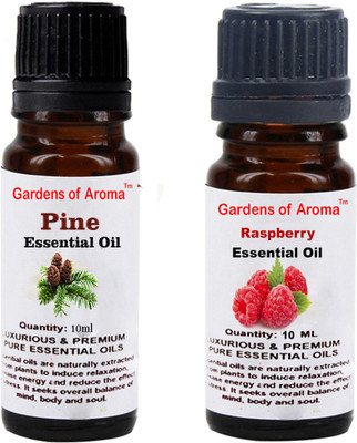 Gardens Of Aroma Pine And Raspberry(20 ml)