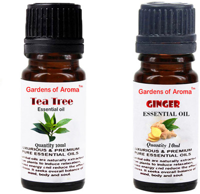 Gardens Of Aroma Tea Tree And Ginger(20 ml)