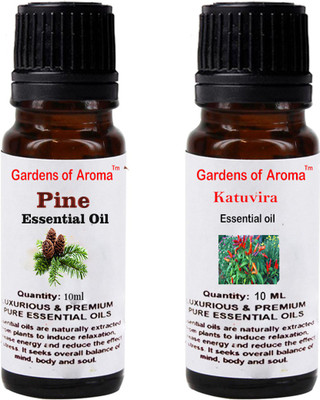 Gardens Of Aroma Pine And Katuvira(20 ml)