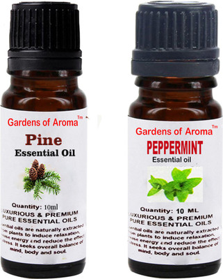 Gardens Of Aroma Pine And Peppermint(20 ml)